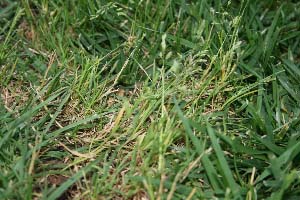 Name:  IMG_2487.JPG
Views: 18861
Size:  52.3 KB