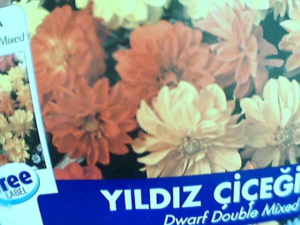Name:  yldz iei.jpg
Views: 4873
Size:  42.8 KB