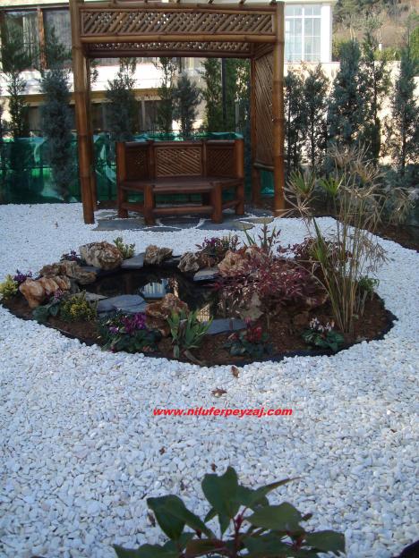 Name:  Nilfer Peyzaj 587.jpg
Views: 1347
Size:  74.3 KB