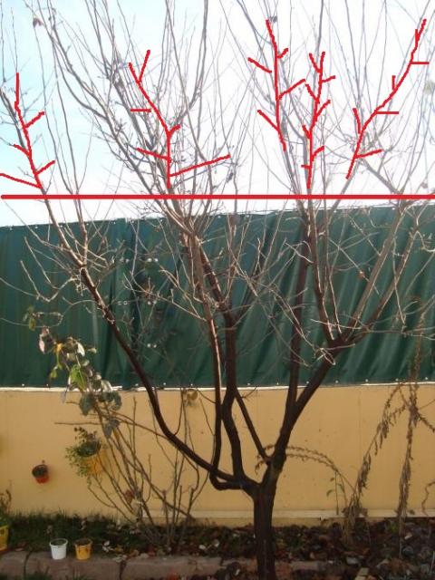 Name:  adnan 080.jpg
Views: 835
Size:  63.1 KB