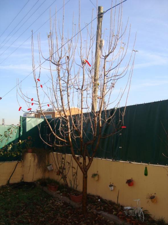 Name:  adnan 083.jpg
Views: 1202
Size:  62.6 KB