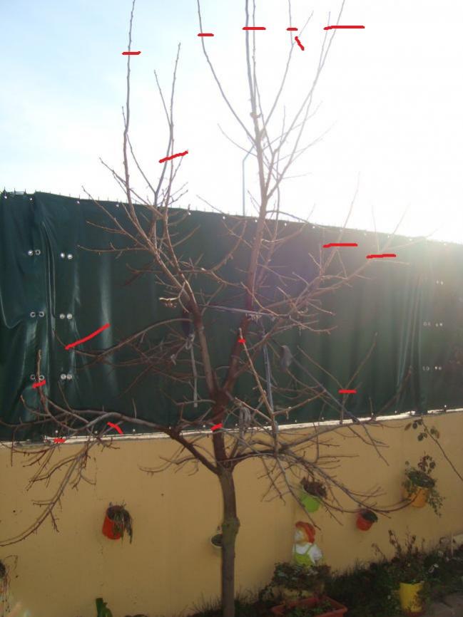 Name:  adnan 082.jpg
Views: 883
Size:  52.0 KB