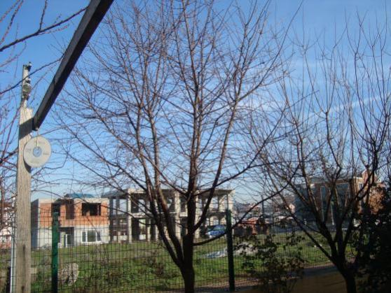 Name:  adnan 099.jpg
Views: 789
Size:  59.1 KB