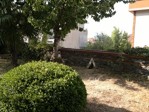 Name:  2.jpg
Views: 2345
Size:  56.5 KB