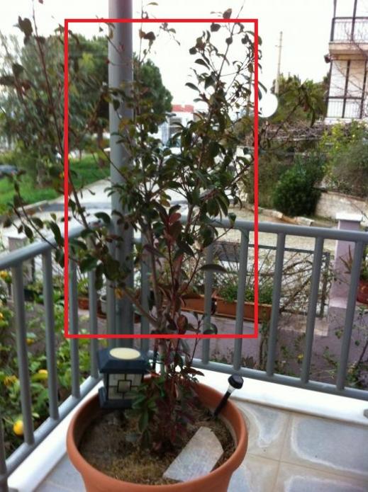Name:  nn 009 (2).jpg
Views: 831
Size:  69.2 KB