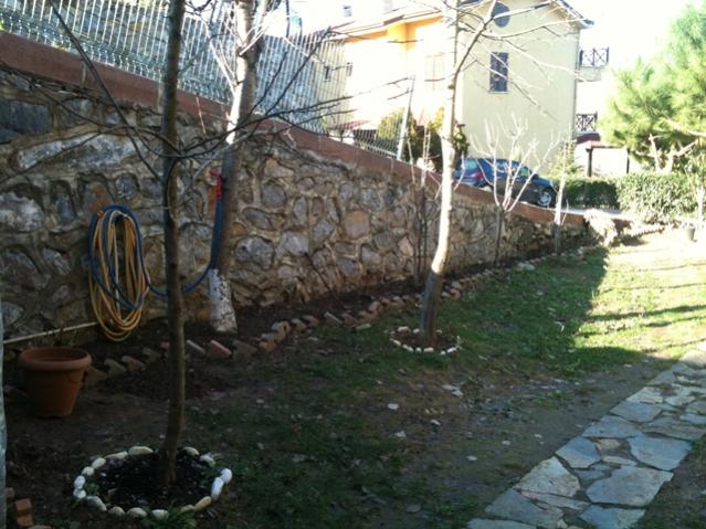 Name:  ilk_ (1).jpg
Views: 2259
Size:  60.1 KB
