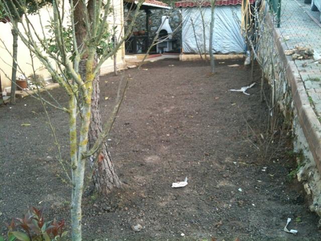 Name:  peyzaj.jpg
Views: 2276
Size:  66.4 KB