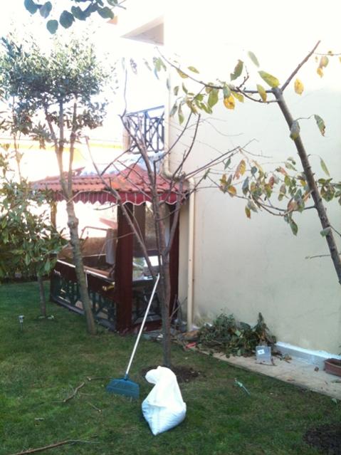 Name:  son (2).jpg
Views: 2026
Size:  50.9 KB
