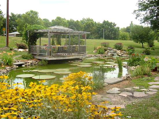 Name:  van_kirk_pond.jpg
Views: 1230
Size:  42.2 KB