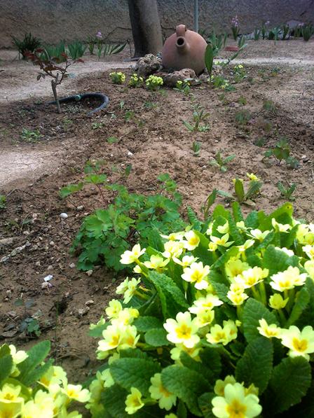 Name:  kaya_bahcesi_tasarimi.jpg
Views: 2544
Size:  72.4 KB