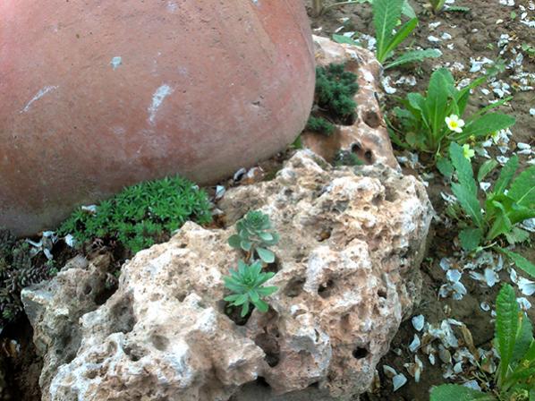 Name:  bahce_tasarim.jpg
Views: 2528
Size:  63.4 KB