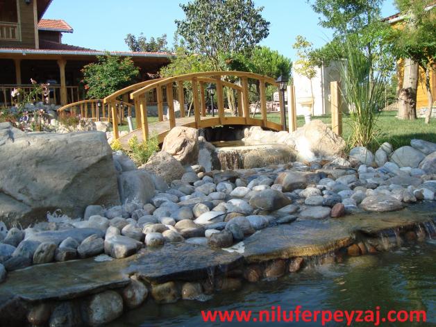 Name:  Nilufer Peyzaj 3.jpg
Views: 2866
Size:  70.5 KB