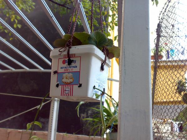 Name:  02112008280.jpg
Views: 3720
Size:  50.9 KB