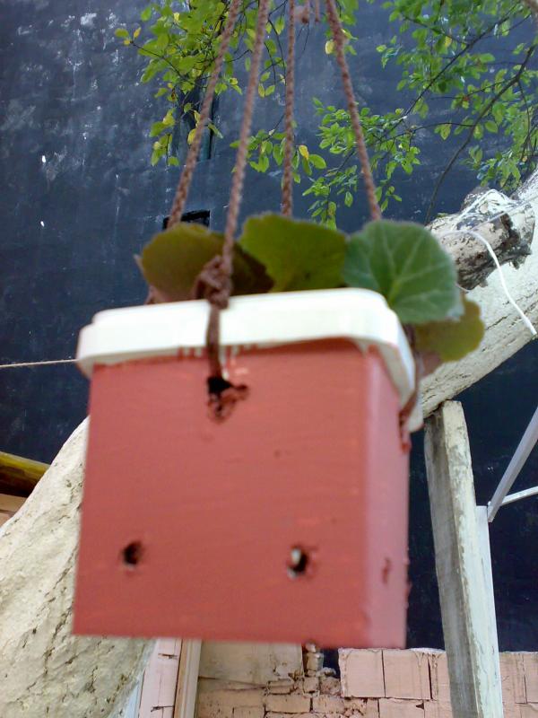 Name:  03112008303.jpg
Views: 3695
Size:  64.2 KB