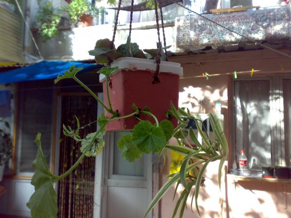 Name:  03112008305.jpg
Views: 3758
Size:  45.4 KB