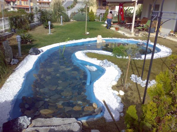 Name:  30102008170.jpg
Views: 40511
Size:  59.4 KB