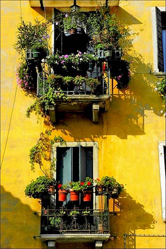 Name:  balcons3zu3.jpg
Views: 24820
Size:  69.8 KB