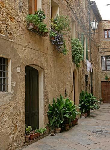 Name:  plants-n-windows-3-big.jpg
Views: 24039
Size:  41.6 KB