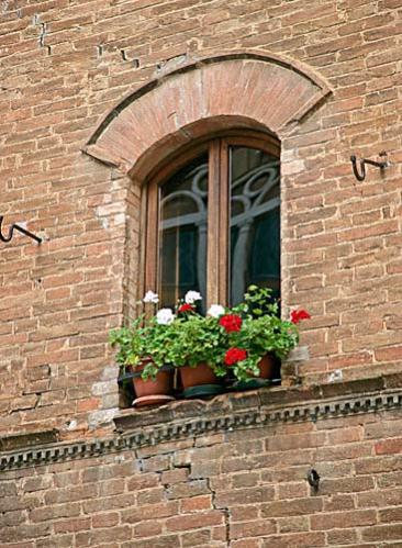 Name:  plants-n-windows-4-big.jpg
Views: 24487
Size:  49.3 KB