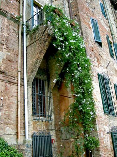 Name:  Italy_139_2001_1125_013.jpg
Views: 24122
Size:  53.4 KB