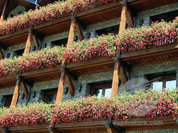 Name:  SuperStock_1566-261893.jpg
Views: 23998
Size:  29.9 KB
