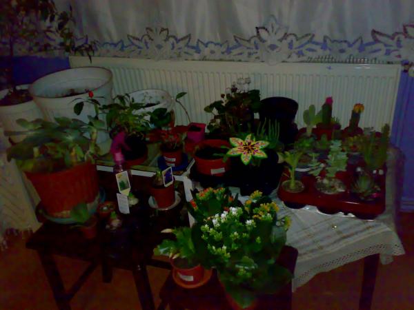 Name:  30112008110.jpg
Views: 19724
Size:  34.3 KB