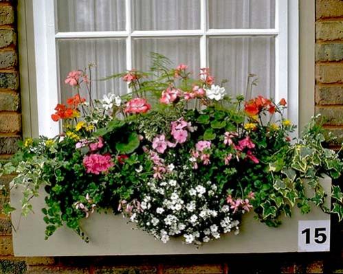 Name:  03.jpg
Views: 24191
Size:  48.7 KB