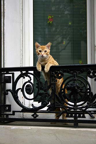 Name:  10.jpg
Views: 9167
Size:  53.3 KB