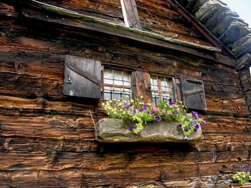 Name:  balcone fiorito.jpg
Views: 7710
Size:  47.9 KB