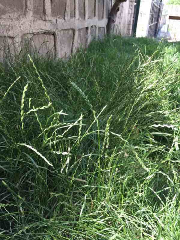 Name:  ImageUploadedByTapatalk1435088195.203816.jpg
Views: 847
Size:  52.5 KB