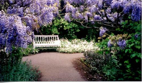 Name:  hidcote.jpg.jpg
Views: 4604
Size:  39.9 KB