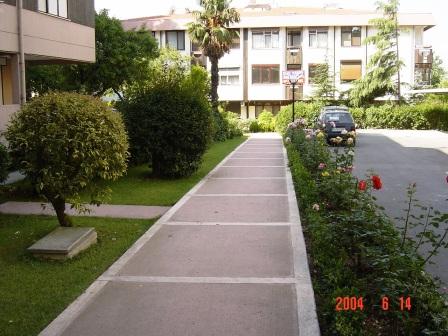 Name:  DSC00571.JPG
Views: 16818
Size:  34.1 KB