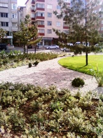 Name:  SP_A0629.jpg
Views: 15896
Size:  43.4 KB