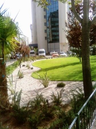 Name:  SP_A0643.jpg
Views: 15893
Size:  31.5 KB
