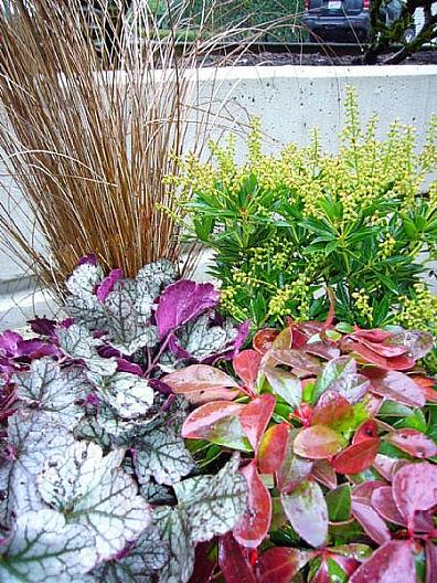 Name:  winterpot.jpg
Views: 1744
Size:  79.7 KB