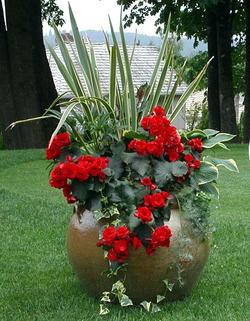 Name:  40039884156830957uSCwOwDAc.jpg
Views: 2133
Size:  23.7 KB