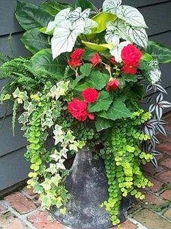 Name:  Shade-container.jpg
Views: 1492
Size:  27.6 KB