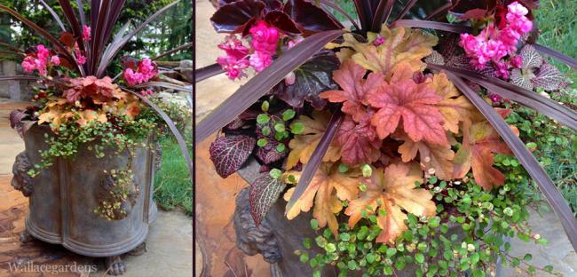 Name:  bombay-garden-planter.jpg
Views: 1389
Size:  55.3 KB