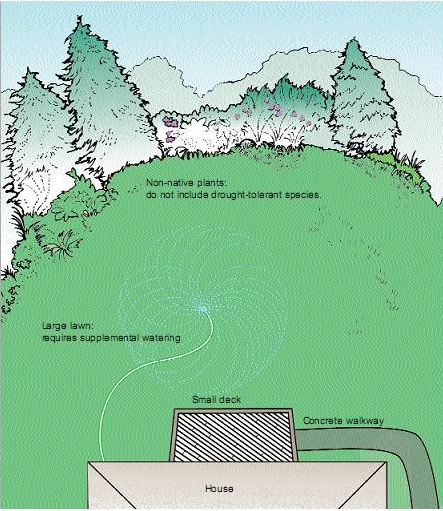 Name:  non-xeriscaping.jpg
Views: 14729
Size:  63.1 KB