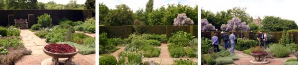 Name:  siss-herb.jpg
Views: 1081
Size:  21.2 KB