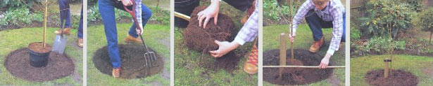 Name:  guler.jpg
Views: 14278
Size:  25.9 KB