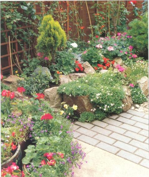 Name:  007 (505 x 600).jpg
Views: 13100
Size:  67.9 KB