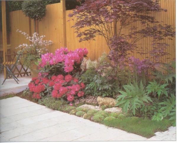 Name:  011 (600 x 483).jpg
Views: 12869
Size:  49.4 KB