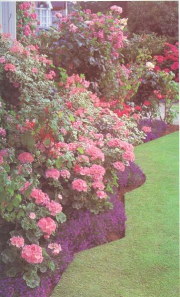 Name:  005 (363 x 600).jpg
Views: 4563
Size:  44.8 KB