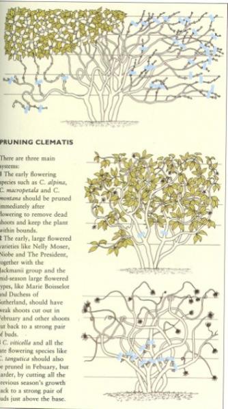 Name:  006 (335 x 600).jpg
Views: 4511
Size:  41.0 KB