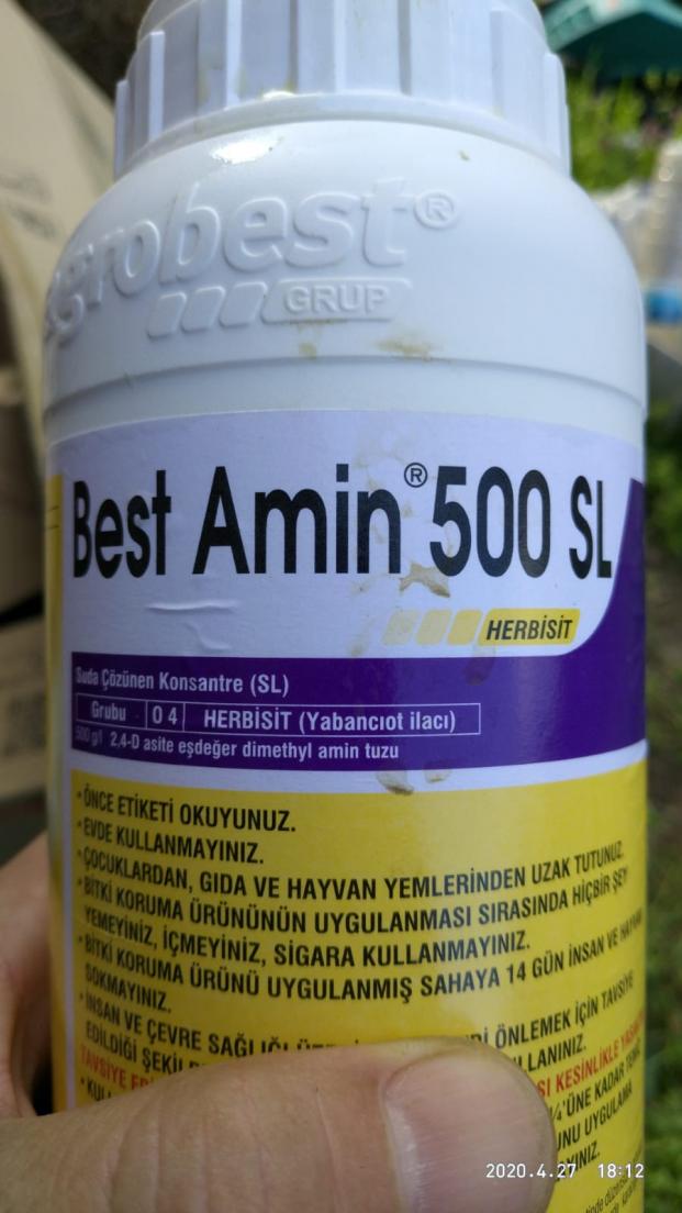 Name:  Best-amin.jpg
Views: 1889
Size:  71.3 KB
