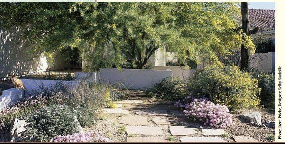 Name:  kurakl-rnek-3.jpg
Views: 13413
Size:  57.3 KB