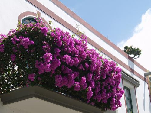 Name:  balkon.jpg
Views: 12250
Size:  36.1 KB