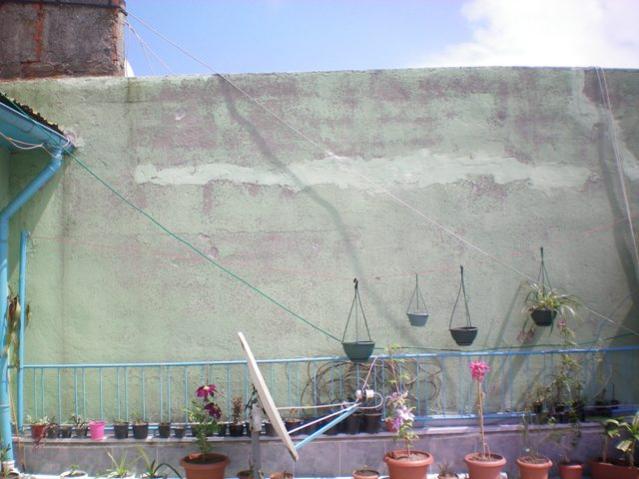 Name:  000_0018.jpg
Views: 6649
Size:  44.8 KB