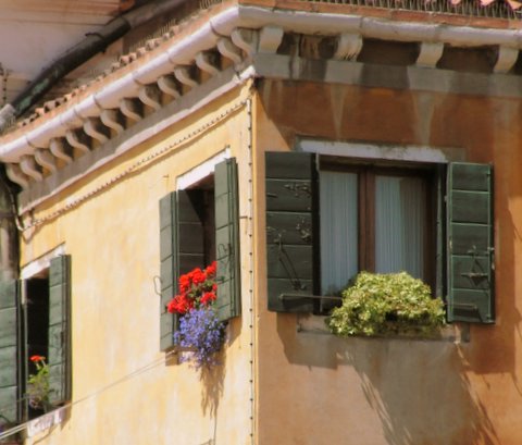 Name:  window flowers.jpg
Views: 6659
Size:  47.8 KB